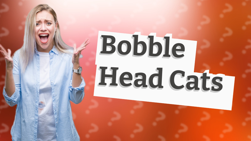Bobble Head Cats