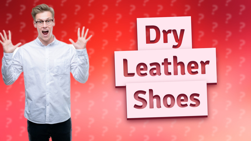 Dry Leather Shoes