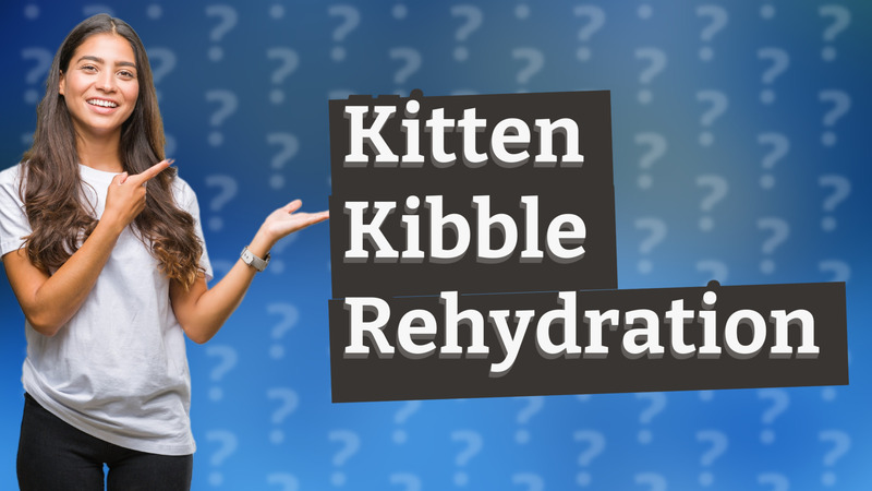 Kitten Kibble Rehydration