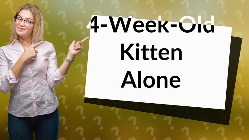 4-Week-Old Kitten Alone