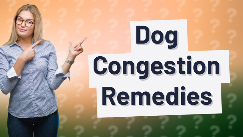 Dog Congestion Remedies