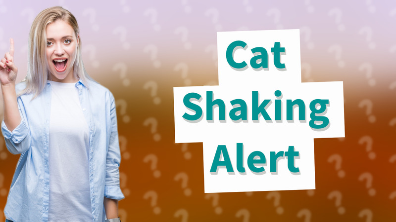 Cat Shaking Alert