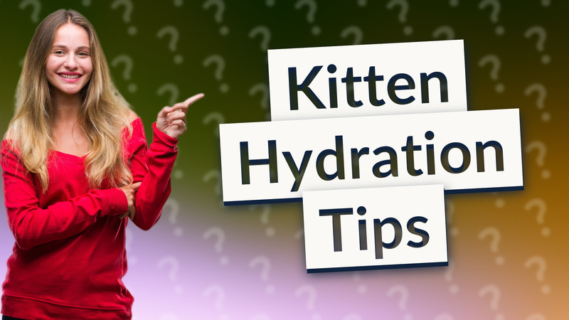 Kitten Hydration Tips