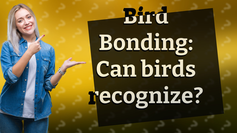 Bird Bonding: Can birds recognize?