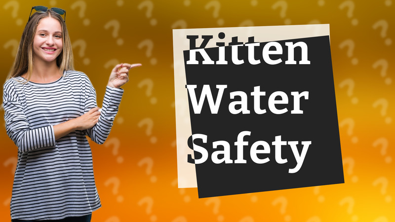 Kitten Water Safety
