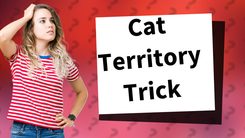 Cat Territory Trick