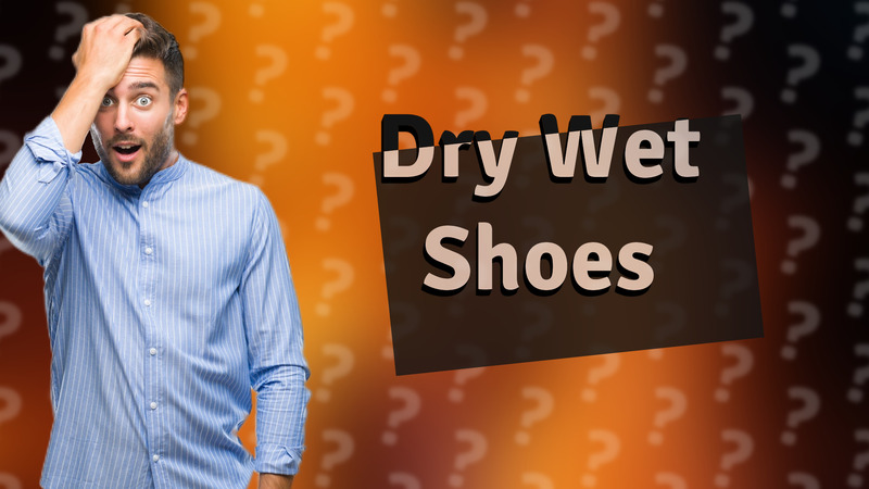 Dry Wet Shoes