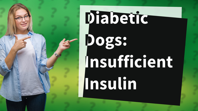Diabetic Dogs: Insufficient Insulin