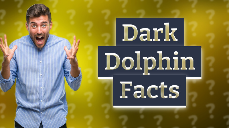 Dark Dolphin Facts
