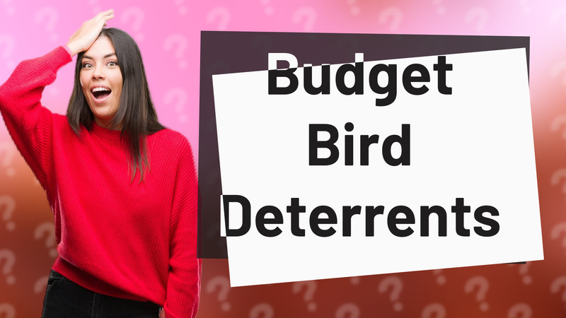 Budget Bird Deterrents