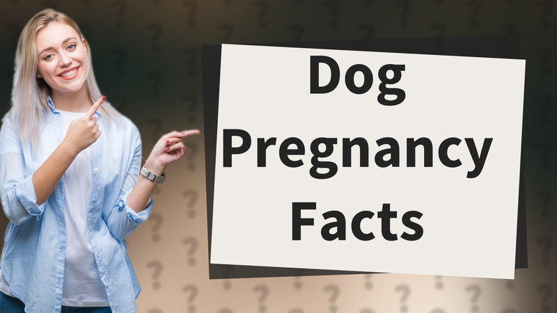 Dog Pregnancy Facts