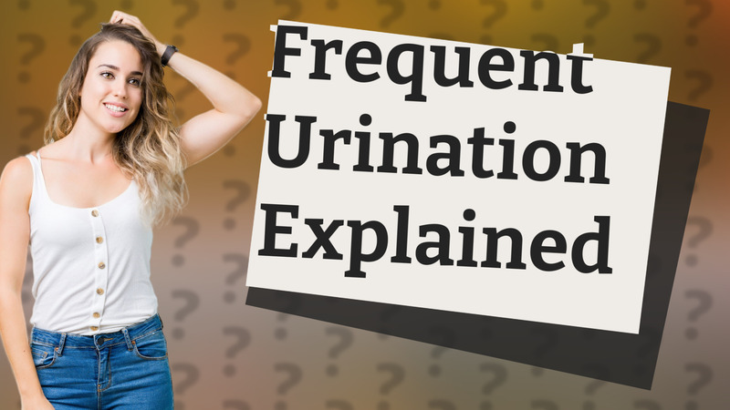 Frequent Urination Explained