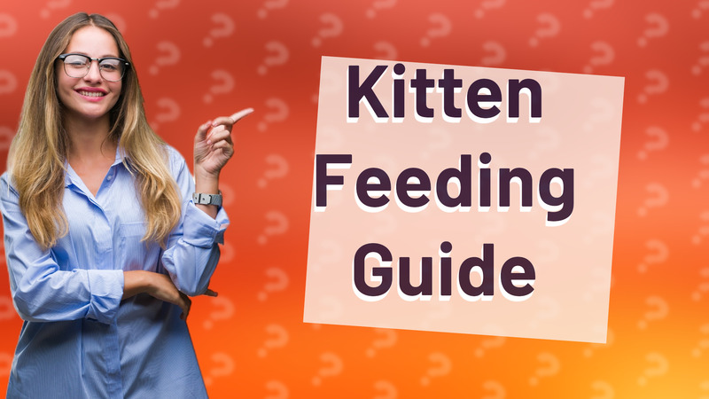 Kitten Feeding Guide