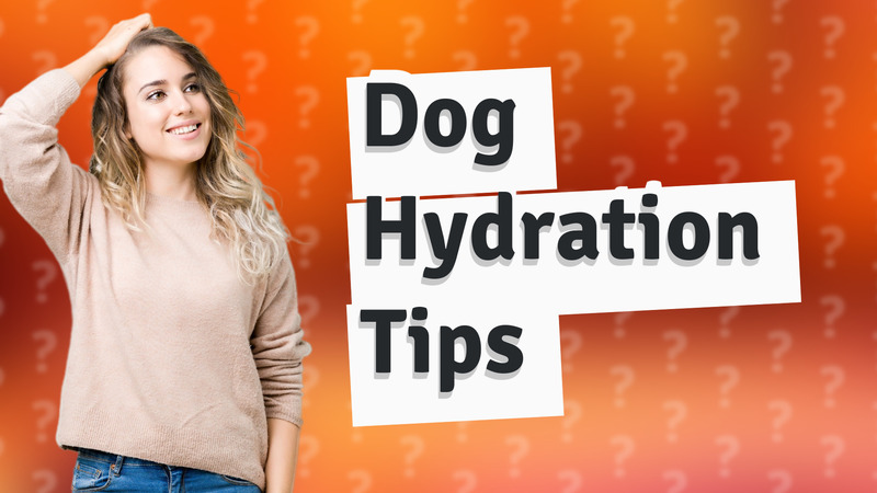 Dog Hydration Tips