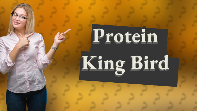 Protein King Bird