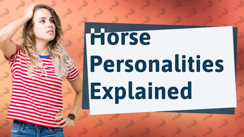 Horse Personalities Explained