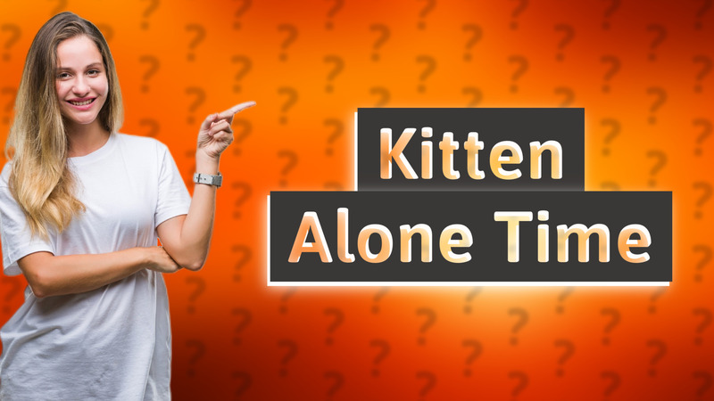 Kitten Alone Time