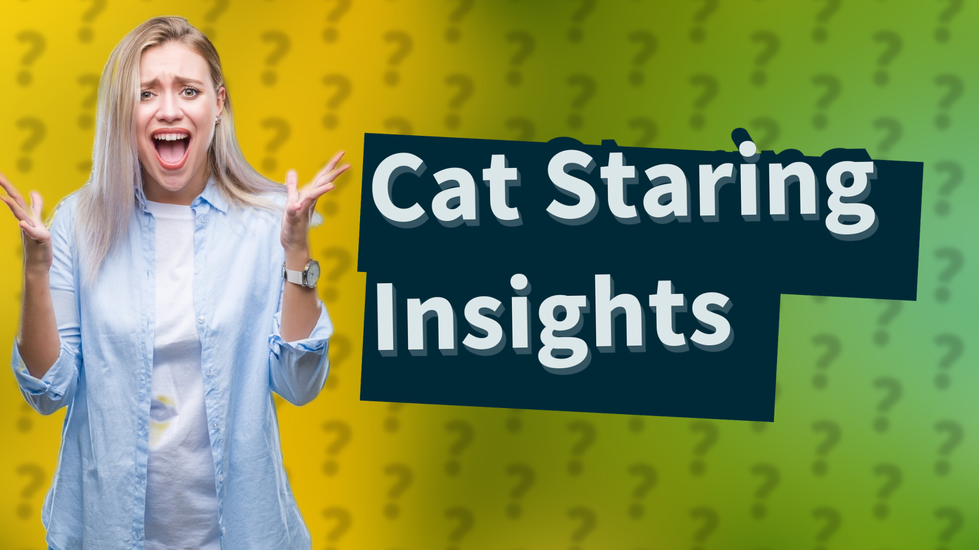 Cat Staring Insights