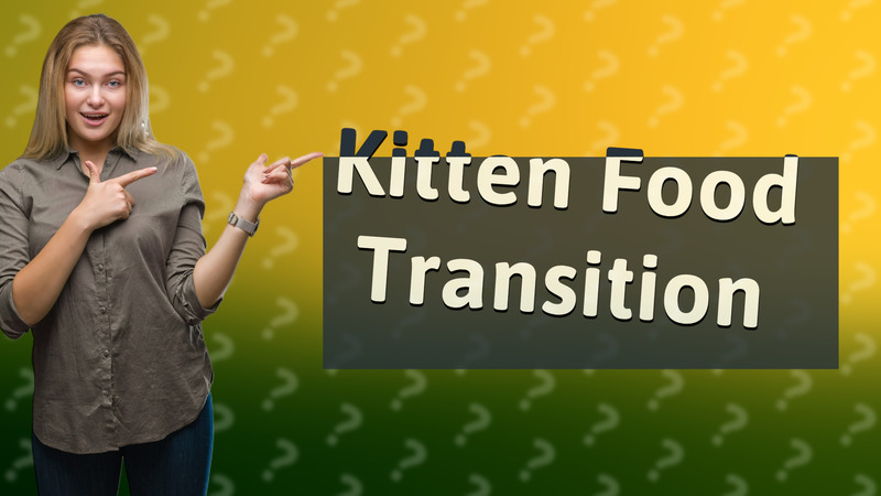 Kitten Food Transition