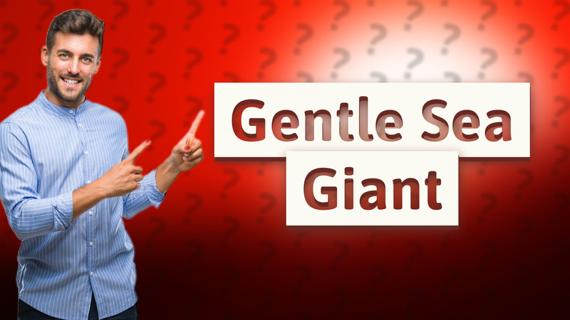 Gentle Sea Giant