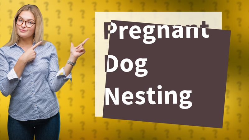 Pregnant Dog Nesting