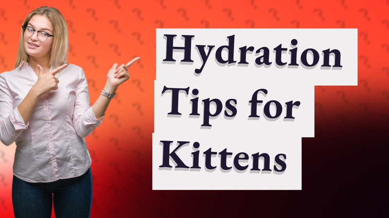 Hydration Tips for Kittens