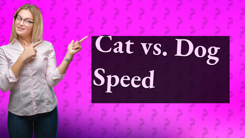 Cat vs. Dog Speed