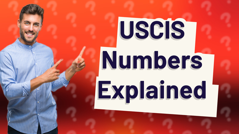 USCIS Numbers Explained