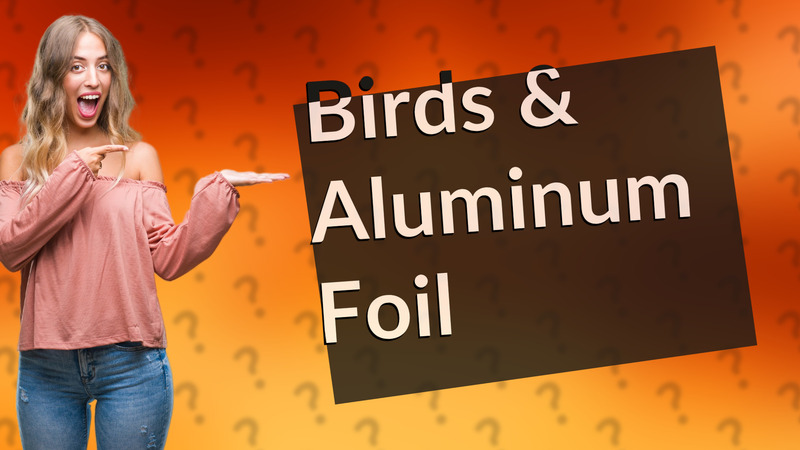 Birds & Aluminum Foil