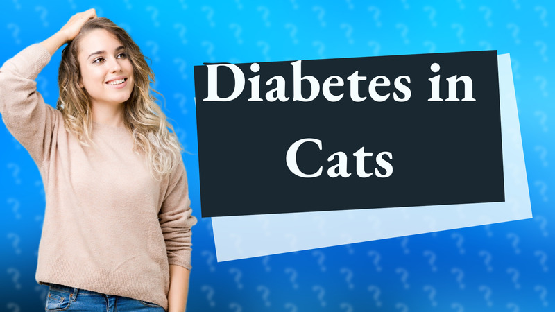 Diabetes in Cats