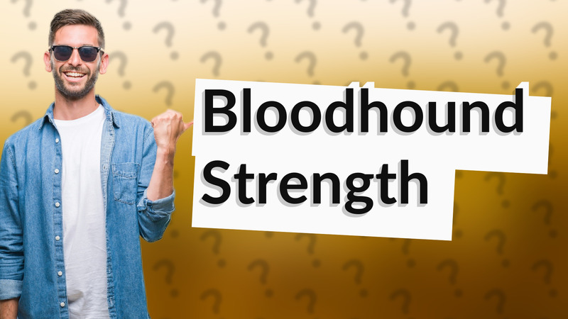 Bloodhound Strength