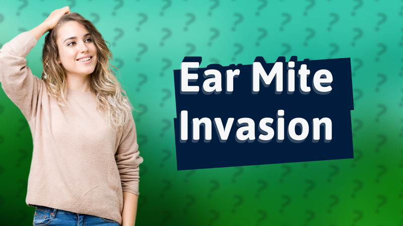 Ear Mite Invasion