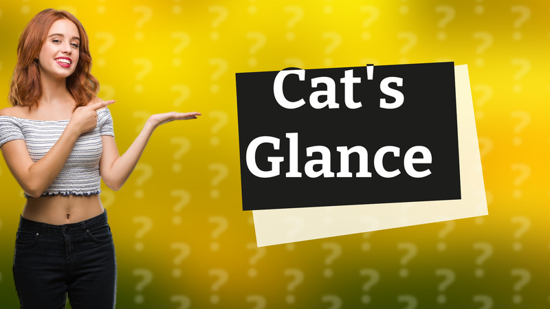 Cat's Glance