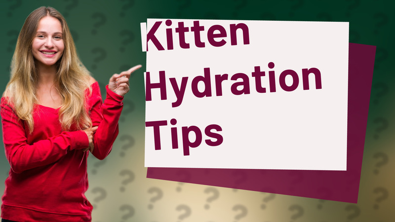 Kitten Hydration Tips