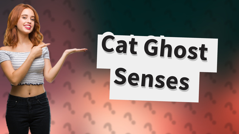 Cat Ghost Senses