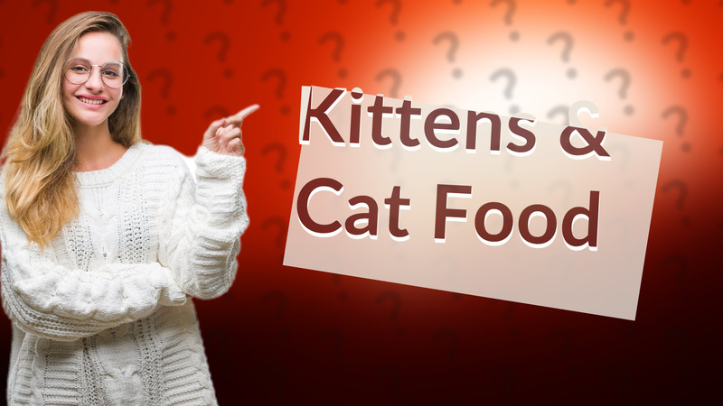 Kittens & Cat Food