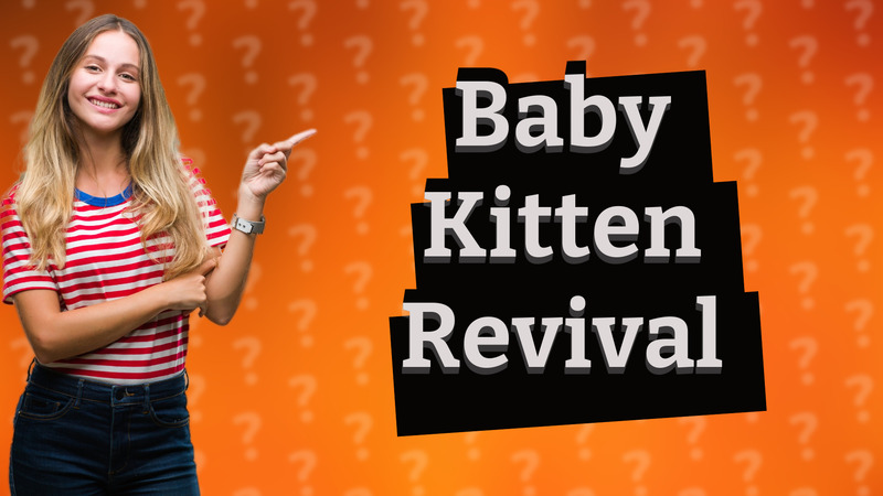 Baby Kitten Revival