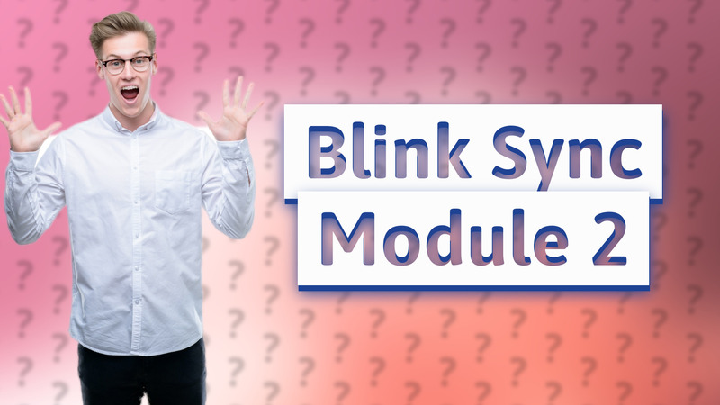 Blink Sync Module 2