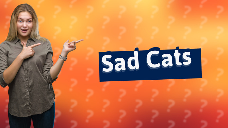 Sad Cats