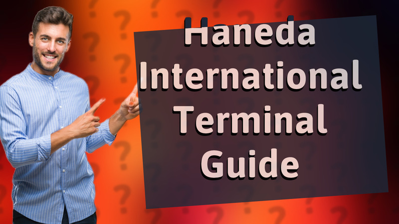 Haneda International Terminal Guide