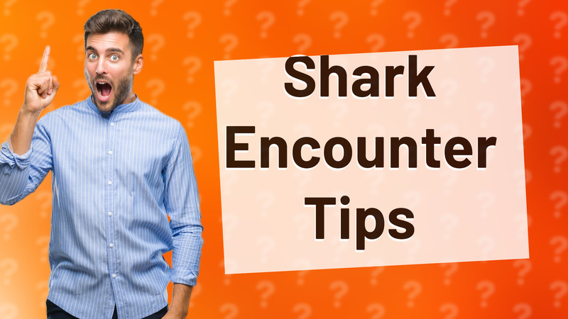 Shark Encounter Tips