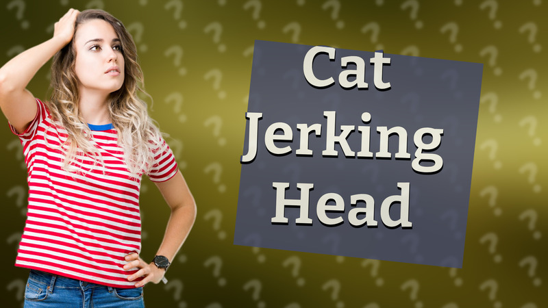 Cat Jerking Head