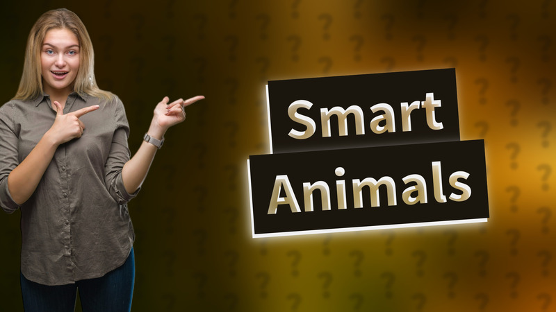 Smart Animals