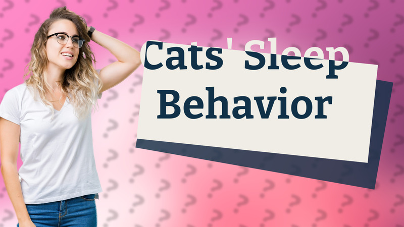 Cats' Sleep Behavior