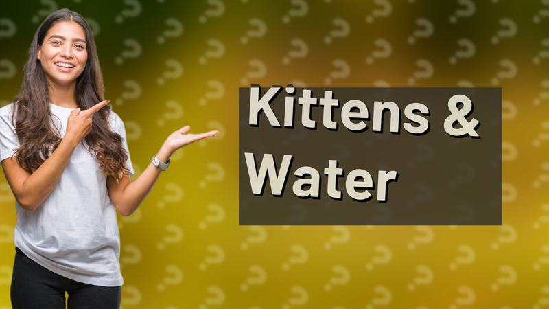 Kittens & Water