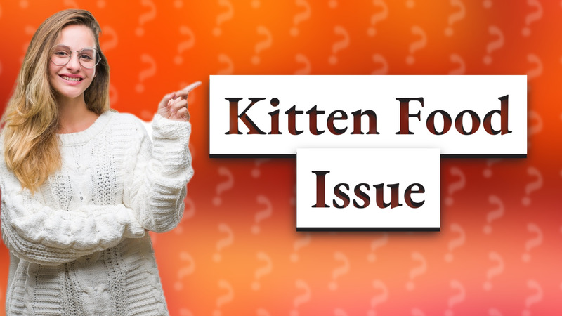 Kitten Food Issue