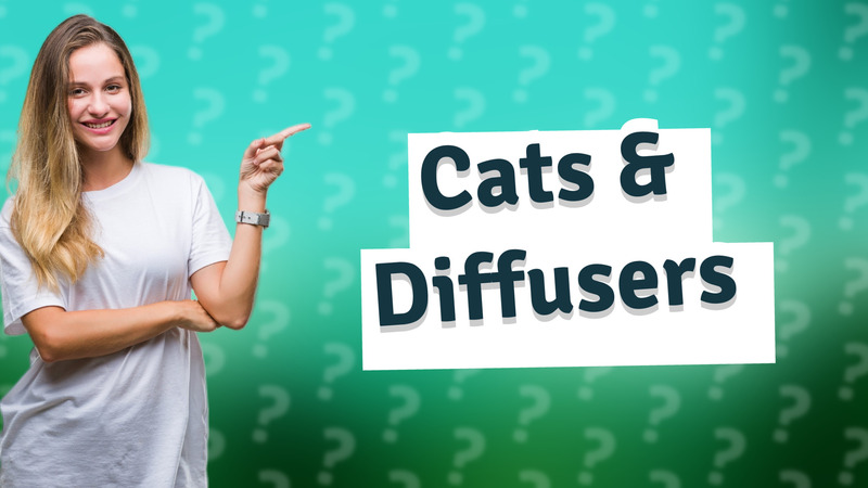 Cats & Diffusers