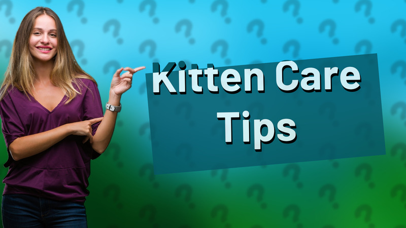 Kitten Care Tips