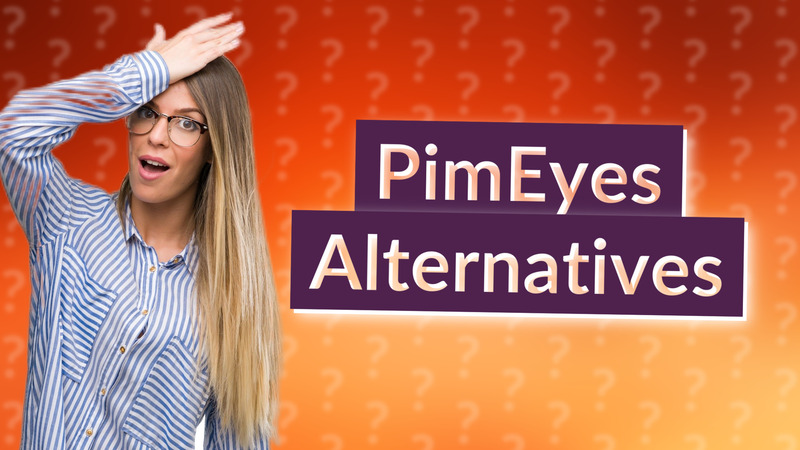 PimEyes Alternatives