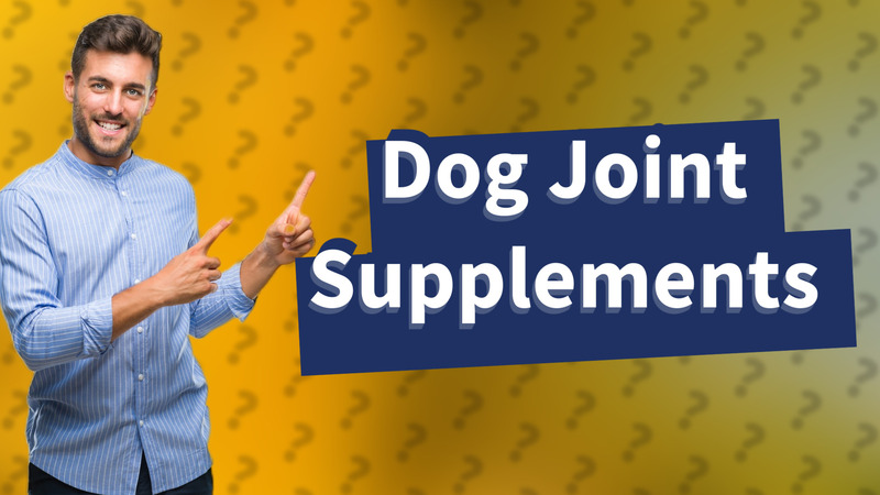 Dog Joint Supplements